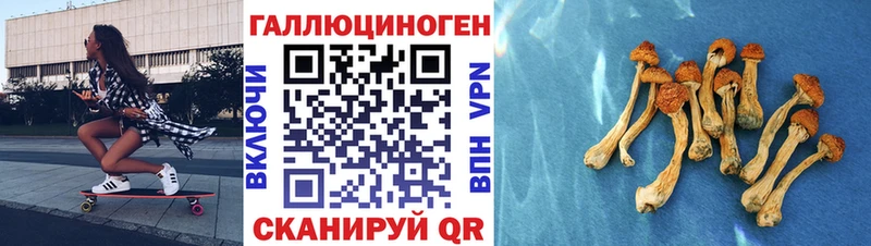 сколько стоит Бугульма Псилоцибиновые грибы GOLDEN TEACHER