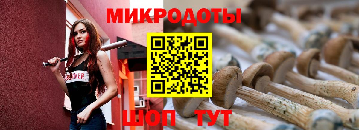 Галлюциногенные грибы мухоморы  Вход с VPN  Бугульма 