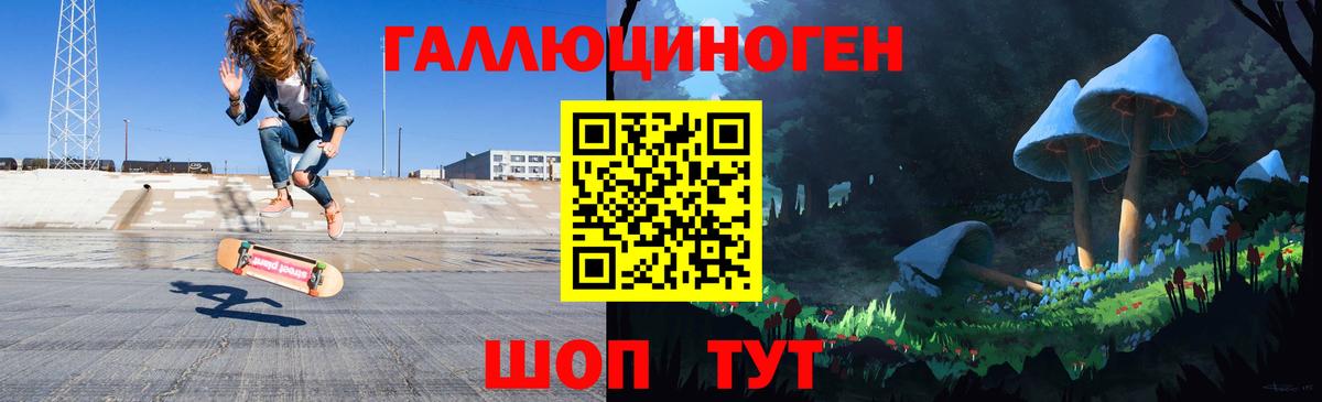 Галлюциногенные грибы Psilocybe Бугульма